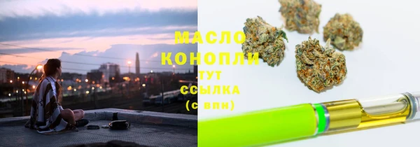 шишки Новозыбков