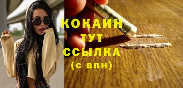 шишки Новозыбков