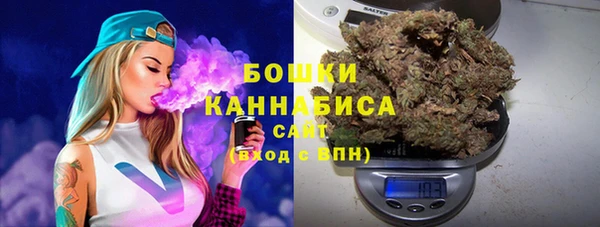 мдпв Иннополис